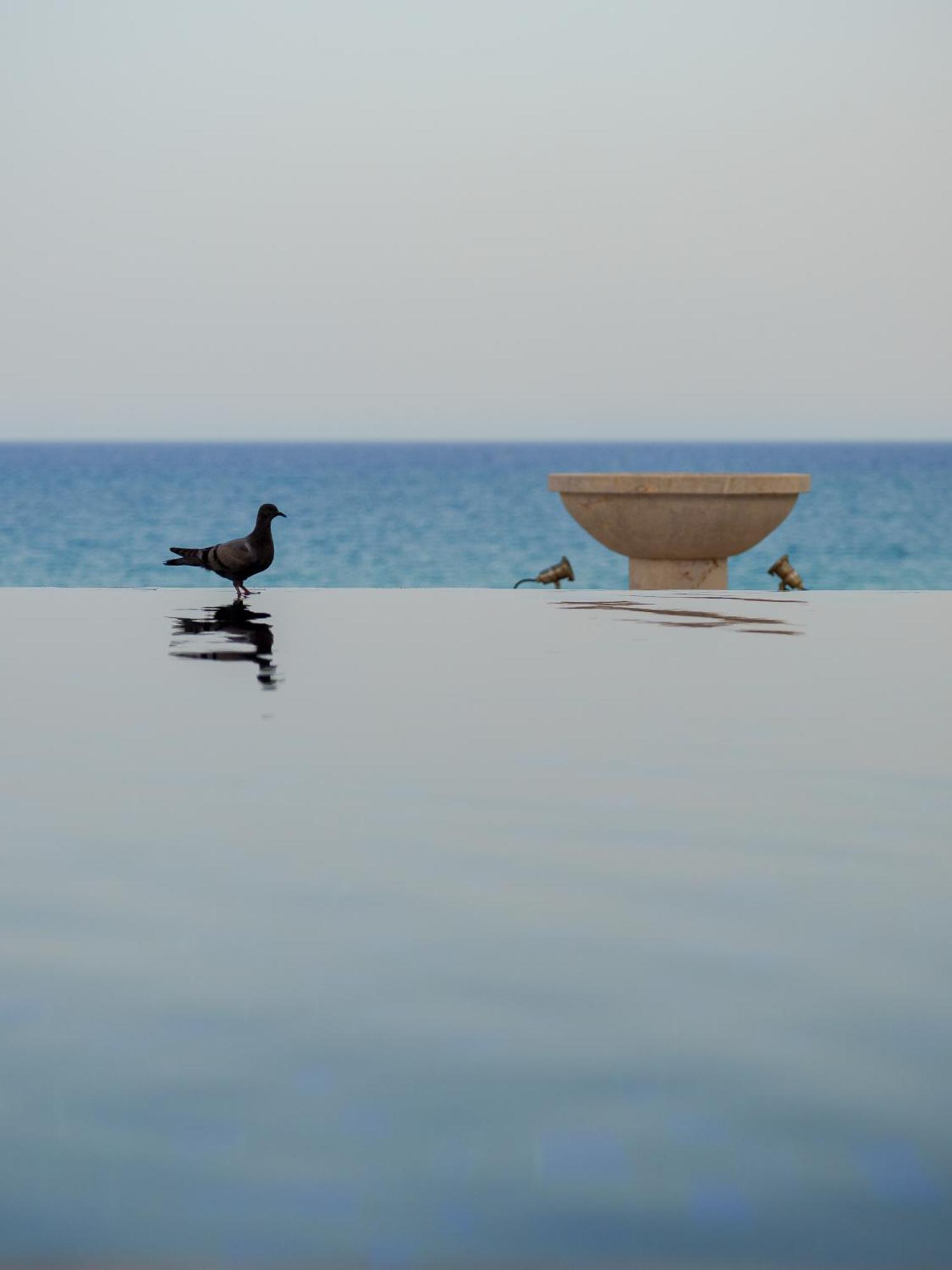 La Badira - Adult Only Hotell Hammamet Eksteriør bilde The fountain